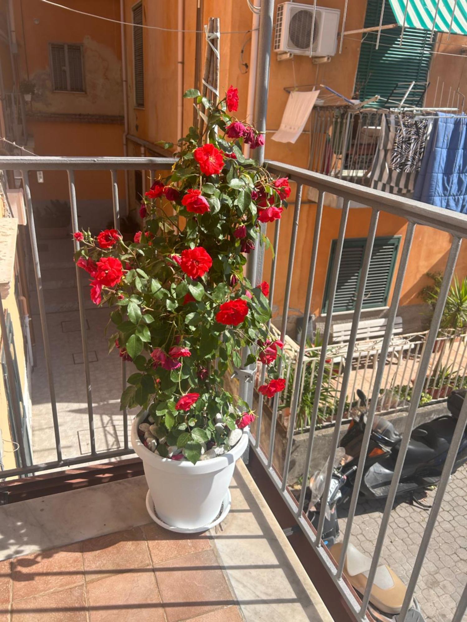 Ferienwohnung Sissi House Salerno Exterior foto