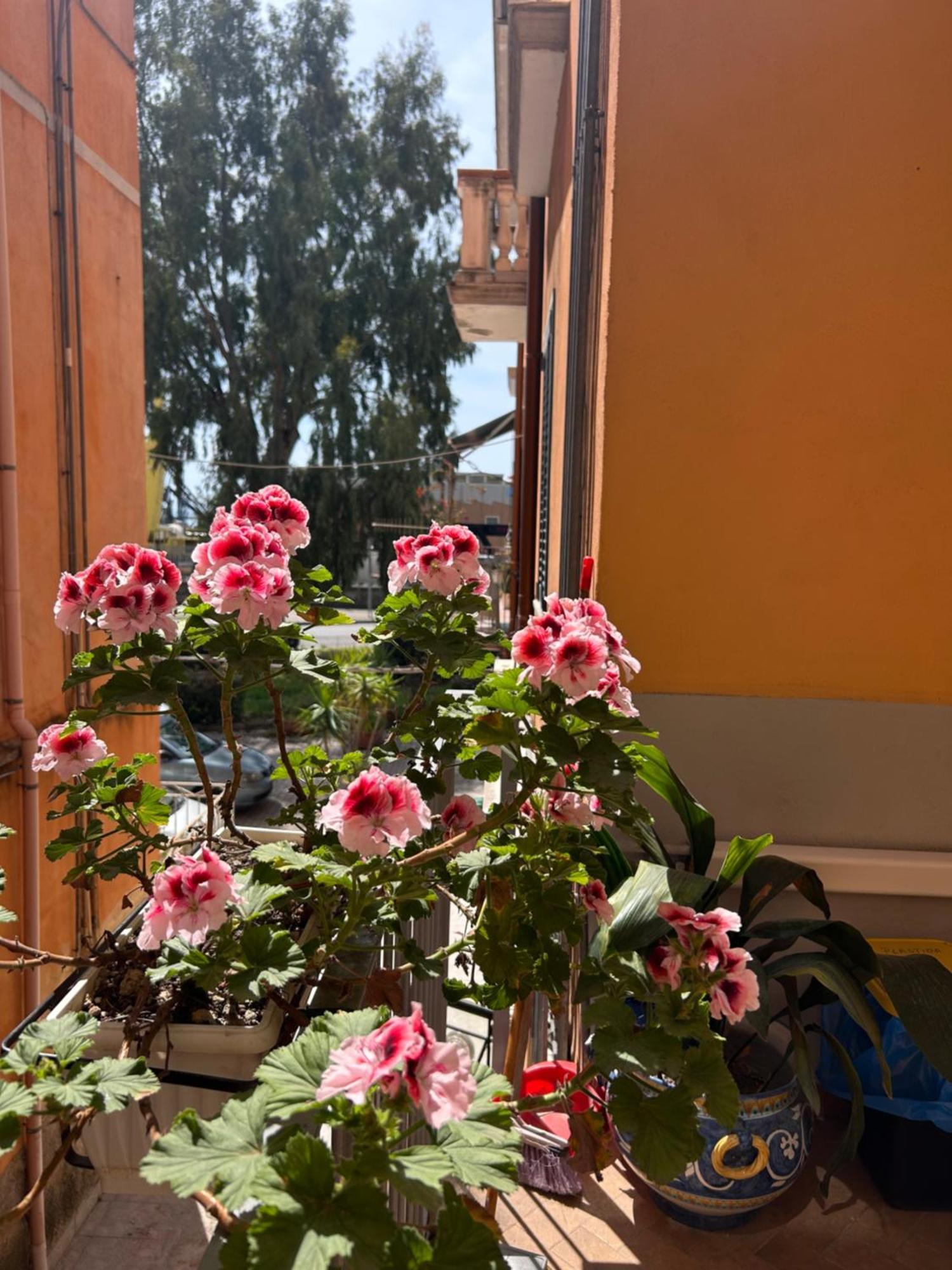 Ferienwohnung Sissi House Salerno Exterior foto